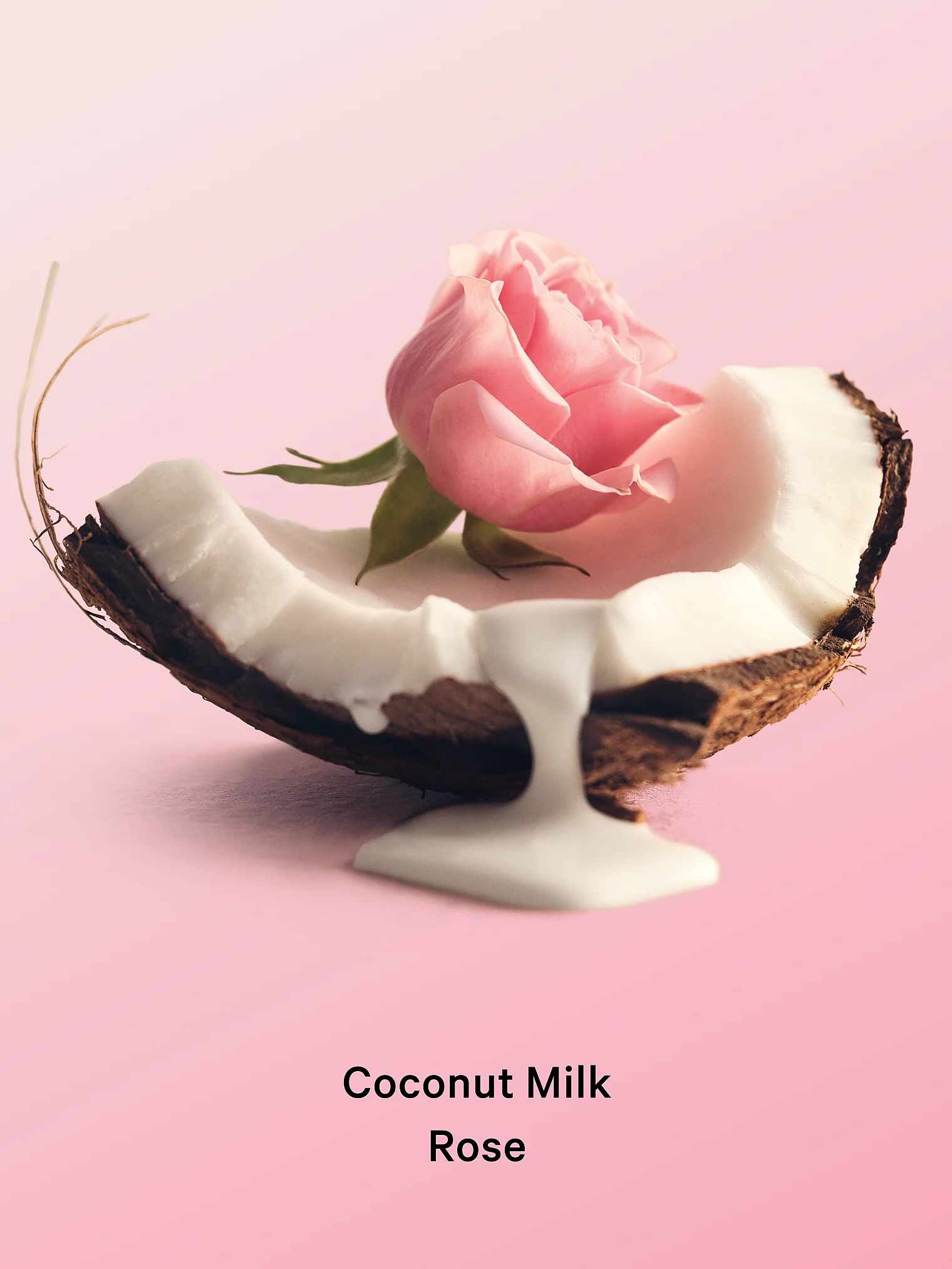 Спрей для тела и волос Victoria’s Secret Coconut Milk Rose — изображение 2