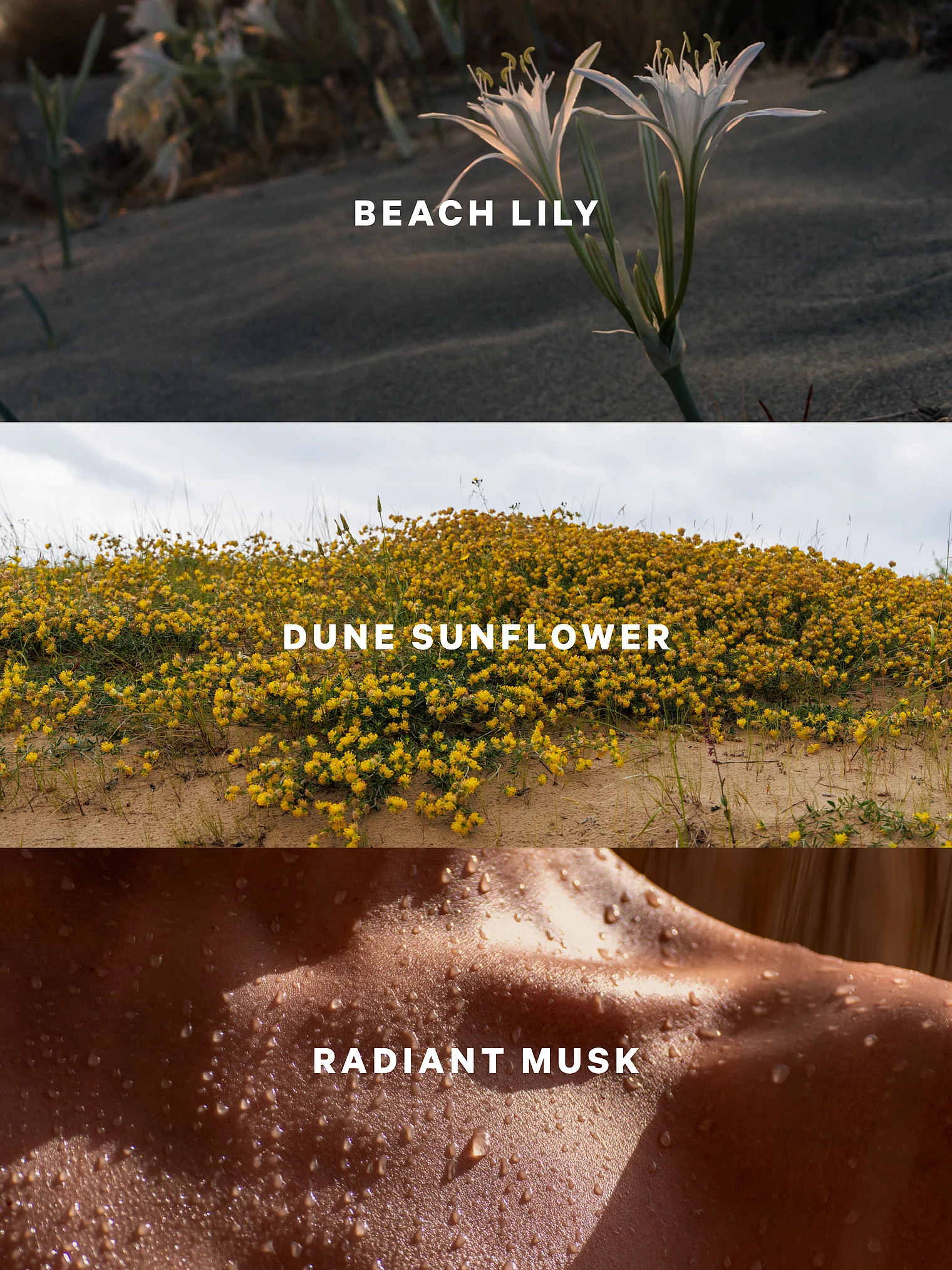 Спрей для тела Victoria’s Secret Sundrenched Blooms — изображение 2