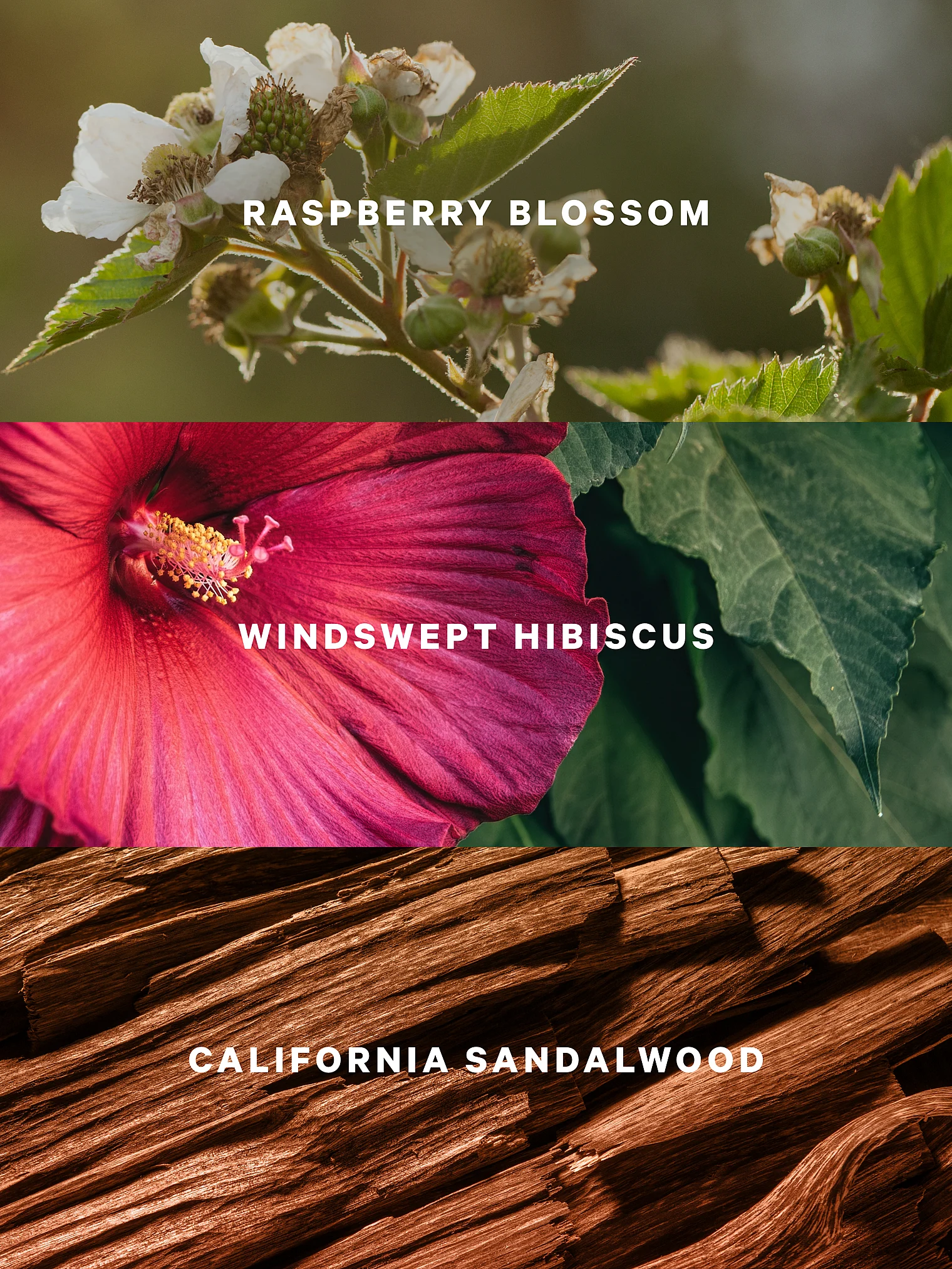 Спрей для тела Victoria’s Secret Serene Blooms — изображение 2